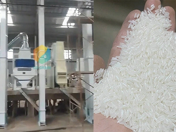 Запрос прямо сейчас