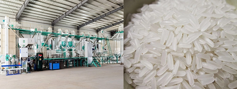 complete_rice_mill_plant_solution 4