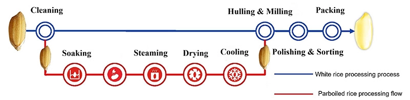 процесс производства пропаренного риса